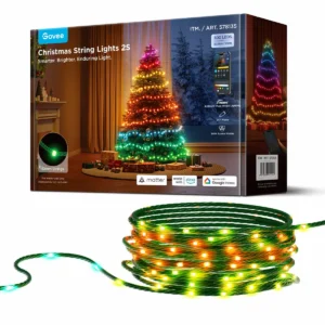 30.48m GOVEE Christmas String Lights 2S